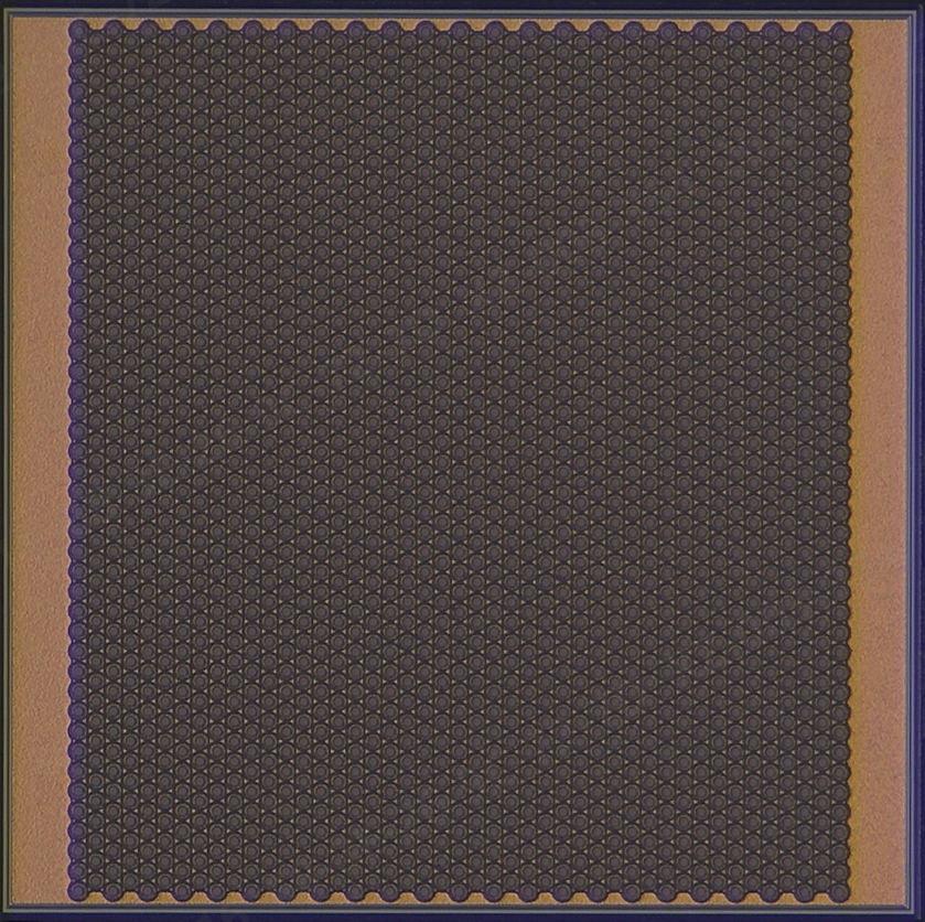 Single-junction Multimode VCSEL Array Chip